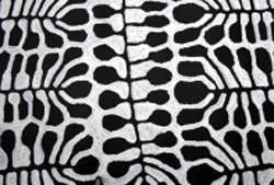 Mitjili Napurrula. - spring show 11th - 13th June 2010